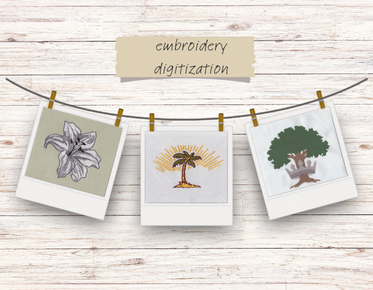 desarrollo de patrones